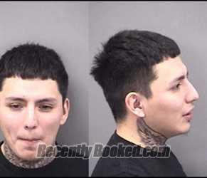 Mugshot of Christopher A Gama