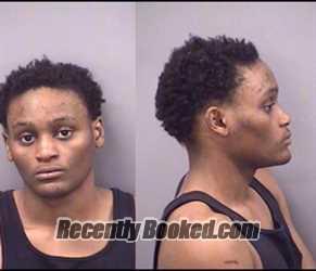 Mugshot of Larelle L Davis booked in Kankakee County, Illinois on April 30, 2026
