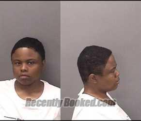 Mugshot of Rhea S Pope booked in Kankakee County, Illinois on August 24, 2026
