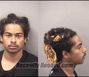 Mugshot of Leiviy C Mcatee