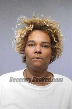 Booking photo from Kendall County, Illinois