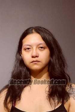 Booking photo from Kendall County, Illinois