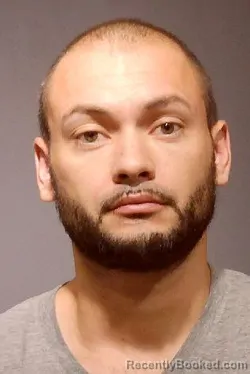 Booking photo from Kendall County, Illinois