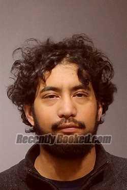 Booking photo from Kendall County, Illinois