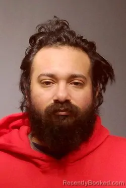 Booking photo from Kendall County, Illinois