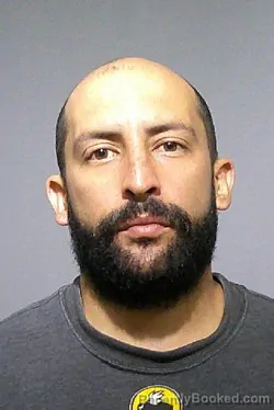 Booking photo from Kendall County, Illinois