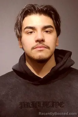 Mugshot of RYAN HERNANDEZ