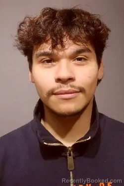 Booking photo from Kendall County, Illinois