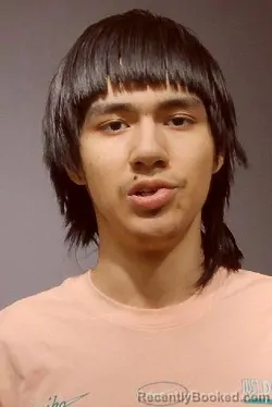 Booking photo from Kendall County, Illinois