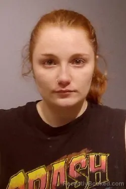 Booking photo from Kendall County, Illinois