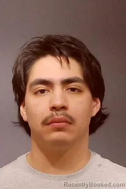 Booking photo from Kendall County, Illinois