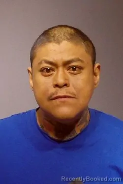 Mugshot of LUIS ENRIQUE MALAGON FRUAS