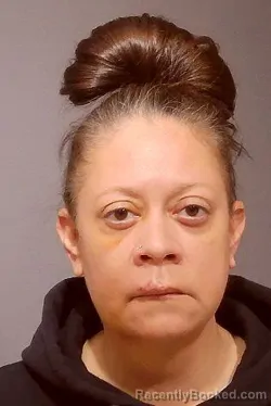 Booking photo from Kendall County, Illinois