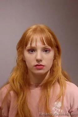 Booking photo from Kendall County, Illinois