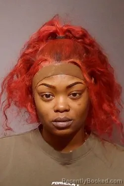 Mugshot of CHINETTA TYRESHIA BENNETT