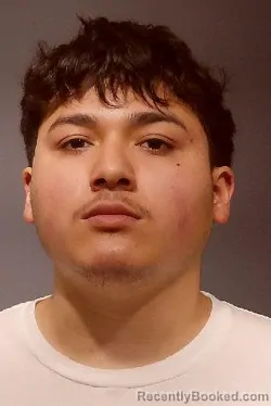 Mugshot of AIDEN MARTINEZ SERGIO PICENO