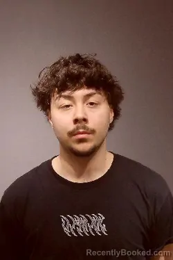 Mugshot of ADRIAN CONSTANTINE GEORGESCU