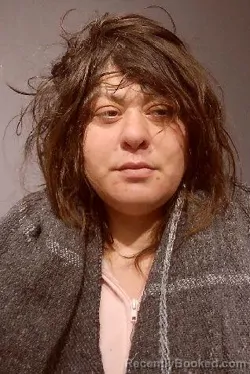 Mugshot of ADRIANNA JOLYNN CHAVEZ