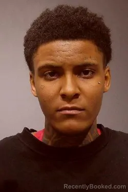 Mugshot of GABRIELLE CHRISTINE DINKINS booked in Kendall County, Illinois on March 17, 2026