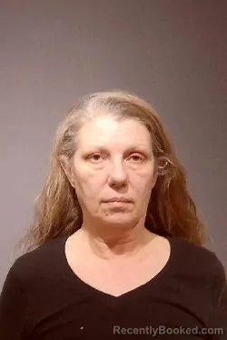 Mugshot of SONIA M MILLER booked in Kendall County, Illinois on March 21, 2026