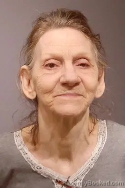 Mugshot of SHANNON LEIGH MEYER booked in Kendall County, Illinois on March 21, 2026