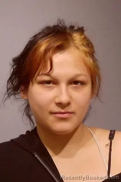 Mugshot of JAIME PEREZ booked in Kendall County, Illinois on March 23, 2026