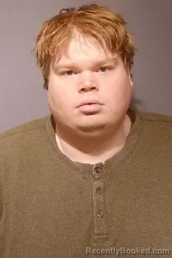 Mugshot of TYLER JAMES GREBNER booked in Kendall County, Illinois on March 24, 2026