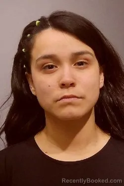 Mugshot of CRYSTAL CERENIL booked in Kendall County, Illinois on April 1, 2026