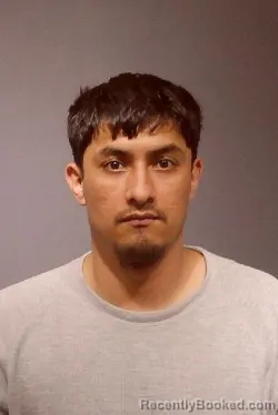 Mugshot of ROSDEL RUIZCRUZ booked in Kendall County, Illinois on April 24, 2026