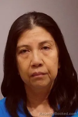 Mugshot of SENRITA DALANGIN booked in Kendall County, Illinois on April 24, 2026