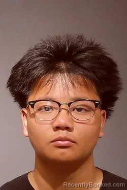 Mugshot of DANIEL HUYNH VO booked in Kendall County, Illinois on July 3, 2026
