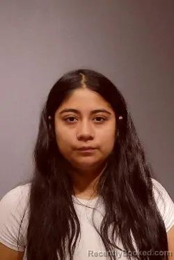 Mugshot of ANAI GUERRA GONZALEZ booked in Kendall County, Illinois on July 18, 2026