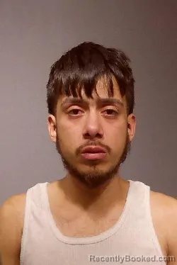 Mugshot of JOSE DEJESUS GALVEZ FLORES booked in Kendall County, Illinois on July 25, 2026