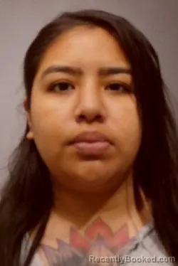 Mugshot of CAROLINA GUADALUPE ALZATI booked in Kendall County, Illinois on August 3, 2026