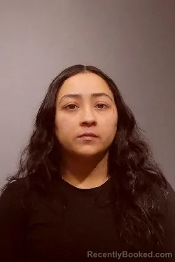 Mugshot of Sarah Abigail Rios booked in Kendall County, Illinois on August 17, 2026