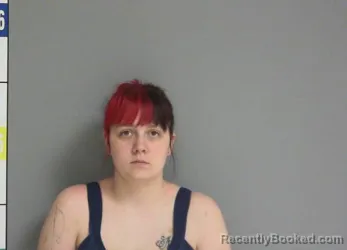 Mugshot of MIRANDA S FLORES booked in La Salle County, Illinois on March 30, 2026