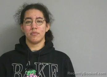 Booking photo from La Salle County, Illinois