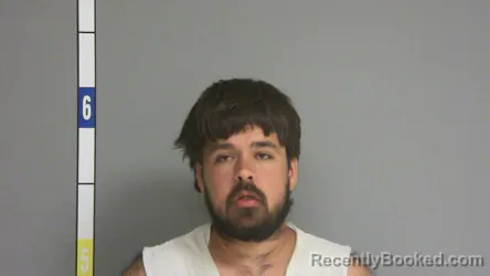 Mugshot of RANDY T DAVIS booked in La Salle County, Illinois on July 13, 2026