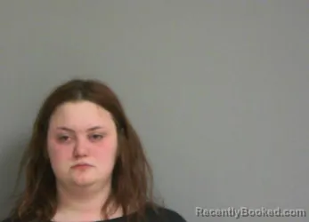 Booking photo from La Salle County, Illinois