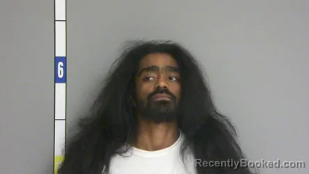 Mugshot of Deandre J Williams booked in La Salle County, Illinois on August 18, 2026