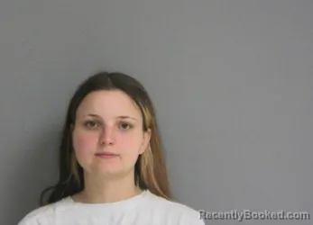 Booking photo from La Salle County, Illinois