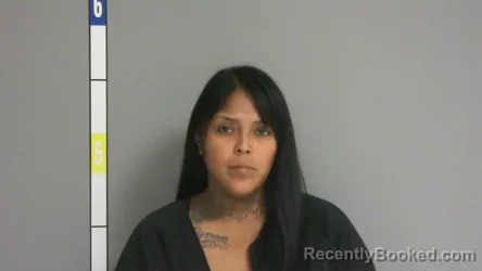 Mugshot of Lissette Trinidad Pineda booked in La Salle County, Illinois on August 26, 2026