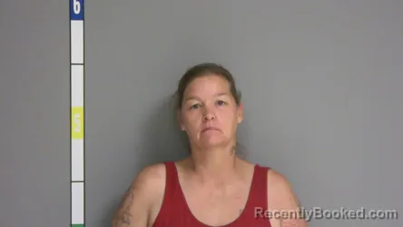 Mugshot of HELEN ANNE STEWART booked in La Salle County, Illinois on July 15, 2026