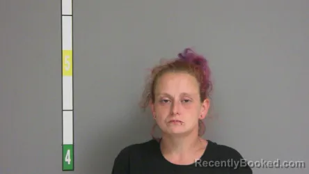 Mugshot of Jamie Marie Schuning booked in La Salle County, Illinois on August 6, 2026