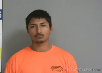 Booking photo from La Salle County, Illinois