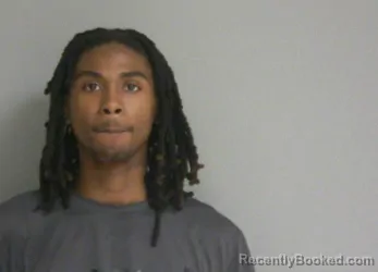 Mugshot of RONNIE LEE DENSON booked in La Salle County, Illinois on March 31, 2026