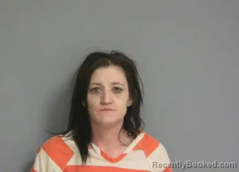 Booking photo from La Salle County, Illinois