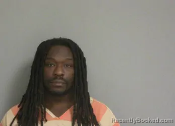 Booking photo from La Salle County, Illinois