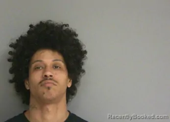 Mugshot of DAVIE J GATLIN booked in La Salle County, Illinois on May 15, 2026