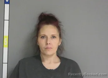 Mugshot of SANDRA JO VAN CLEAVE booked in La Salle County, Illinois on March 17, 2026